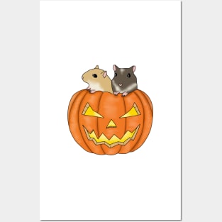 Two cute gerbils in a pumpkin Posters and Art